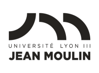 lyon 3